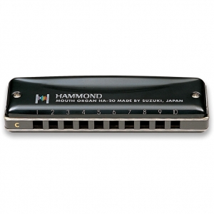 Suzuki Hammond A
